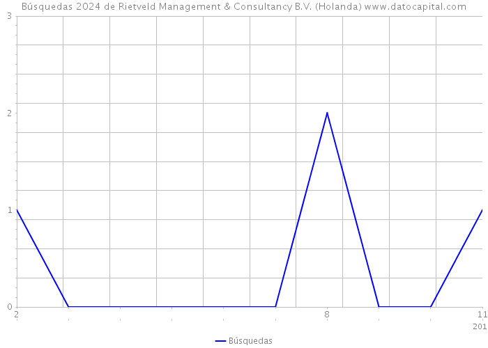 Búsquedas 2024 de Rietveld Management & Consultancy B.V. (Holanda) 