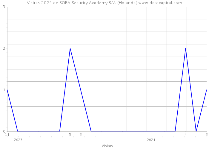 Visitas 2024 de SOBA Security Academy B.V. (Holanda) 