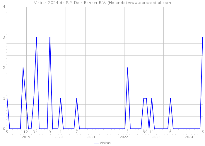 Visitas 2024 de P.P. Dols Beheer B.V. (Holanda) 