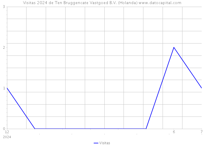 Visitas 2024 de Ten Bruggencate Vastgoed B.V. (Holanda) 