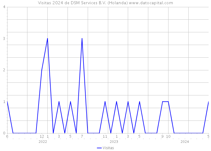 Visitas 2024 de DSM Services B.V. (Holanda) 