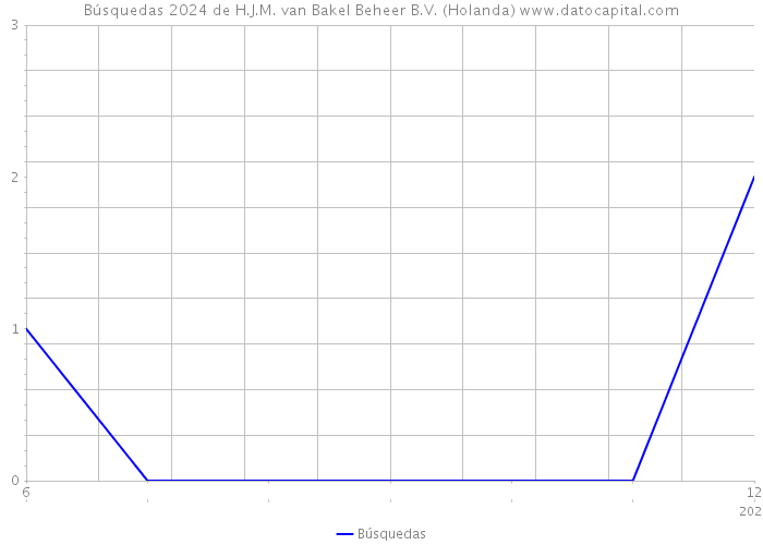 Búsquedas 2024 de H.J.M. van Bakel Beheer B.V. (Holanda) 
