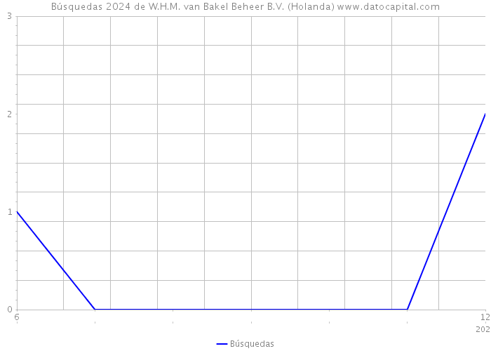 Búsquedas 2024 de W.H.M. van Bakel Beheer B.V. (Holanda) 