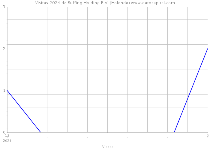 Visitas 2024 de Buffing Holding B.V. (Holanda) 