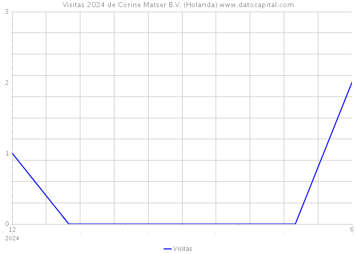 Visitas 2024 de Corine Matser B.V. (Holanda) 