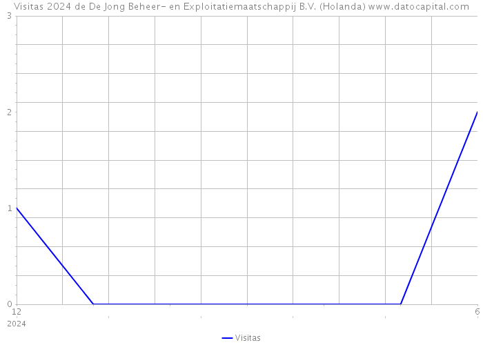 Visitas 2024 de De Jong Beheer- en Exploitatiemaatschappij B.V. (Holanda) 