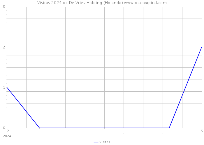 Visitas 2024 de De Vries Holding (Holanda) 