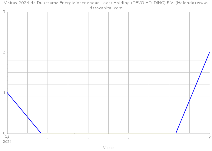 Visitas 2024 de Duurzame Energie Veenendaal-oost Holding (DEVO HOLDING) B.V. (Holanda) 