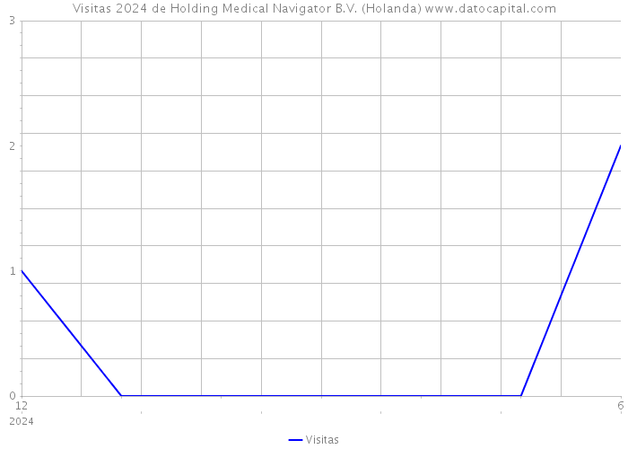 Visitas 2024 de Holding Medical Navigator B.V. (Holanda) 