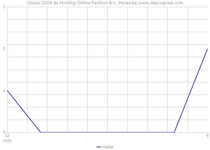 Visitas 2024 de Holding Online Fashion B.V. (Holanda) 