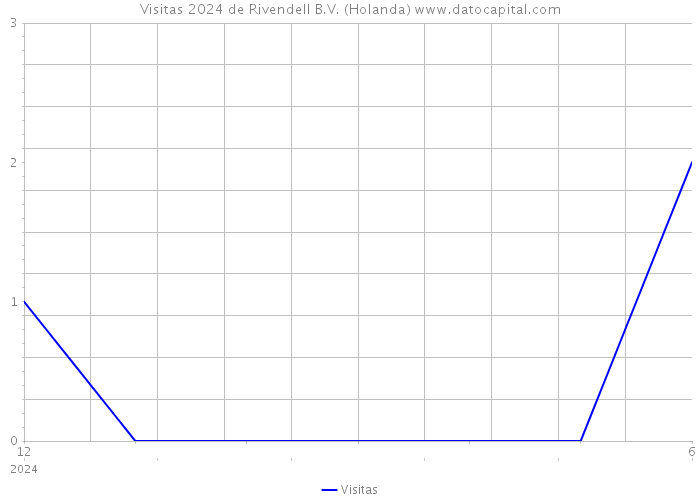 Visitas 2024 de Rivendell B.V. (Holanda) 