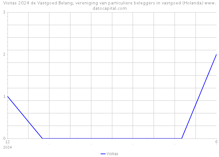 Visitas 2024 de Vastgoed Belang, vereniging van particuliere beleggers in vastgoed (Holanda) 