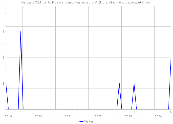 Visitas 2024 de A. Roestenburg Vastgoed B.V. (Holanda) 