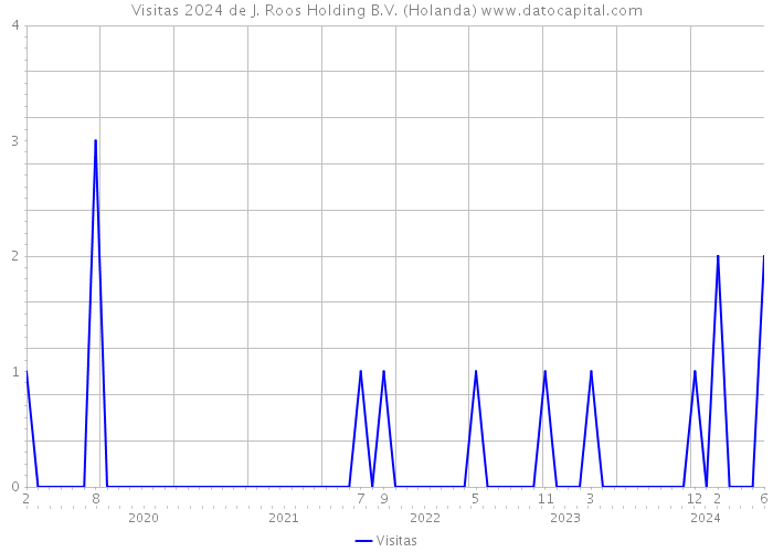 Visitas 2024 de J. Roos Holding B.V. (Holanda) 