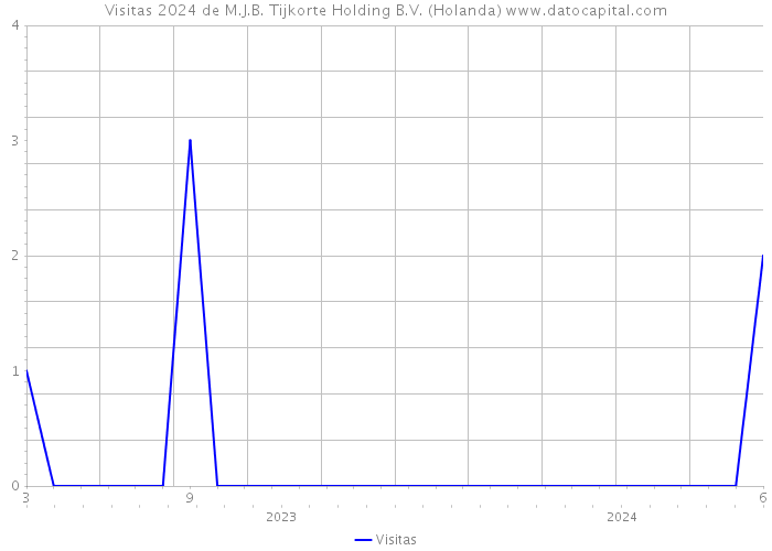 Visitas 2024 de M.J.B. Tijkorte Holding B.V. (Holanda) 