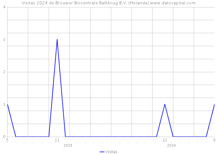 Visitas 2024 de Brouwer Biocentrale Balkbrug B.V. (Holanda) 