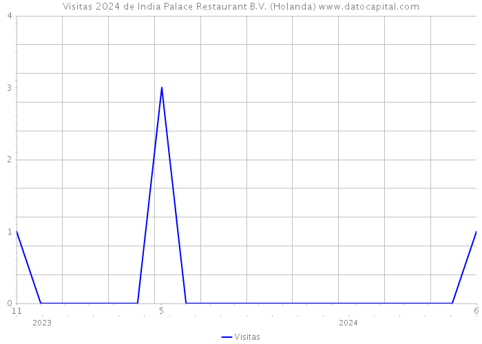 Visitas 2024 de India Palace Restaurant B.V. (Holanda) 