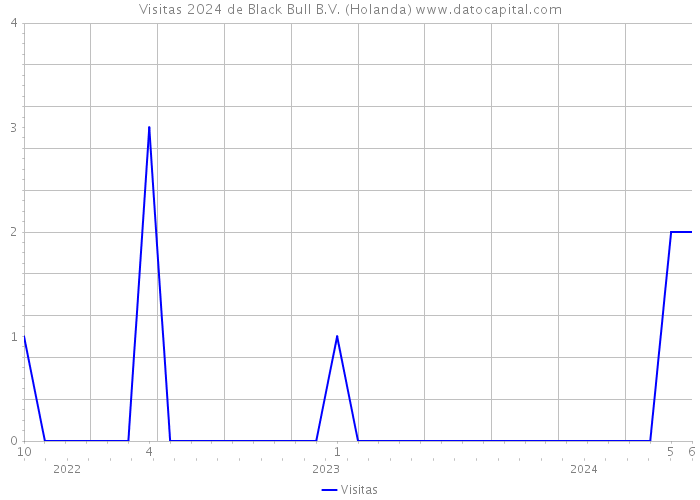 Visitas 2024 de Black Bull B.V. (Holanda) 