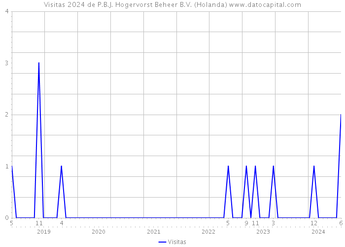 Visitas 2024 de P.B.J. Hogervorst Beheer B.V. (Holanda) 