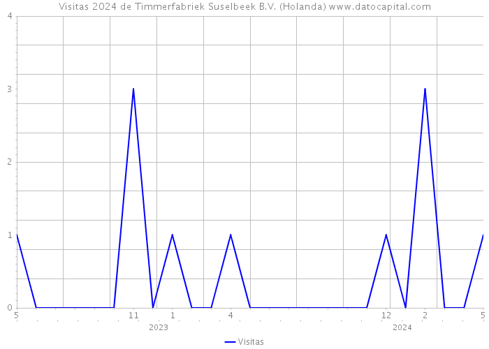 Visitas 2024 de Timmerfabriek Suselbeek B.V. (Holanda) 