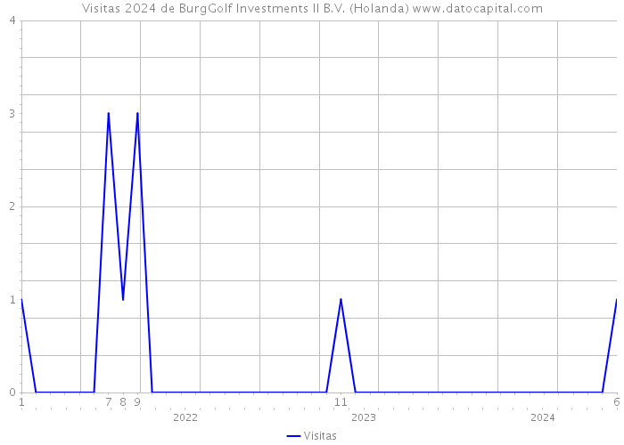 Visitas 2024 de BurgGolf Investments II B.V. (Holanda) 