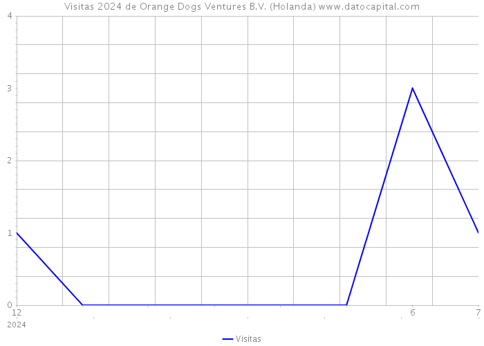 Visitas 2024 de Orange Dogs Ventures B.V. (Holanda) 