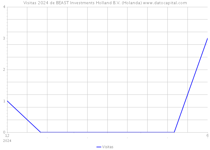 Visitas 2024 de BEAST Investments Holland B.V. (Holanda) 