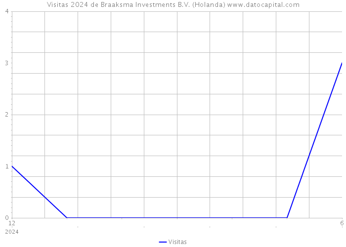 Visitas 2024 de Braaksma Investments B.V. (Holanda) 