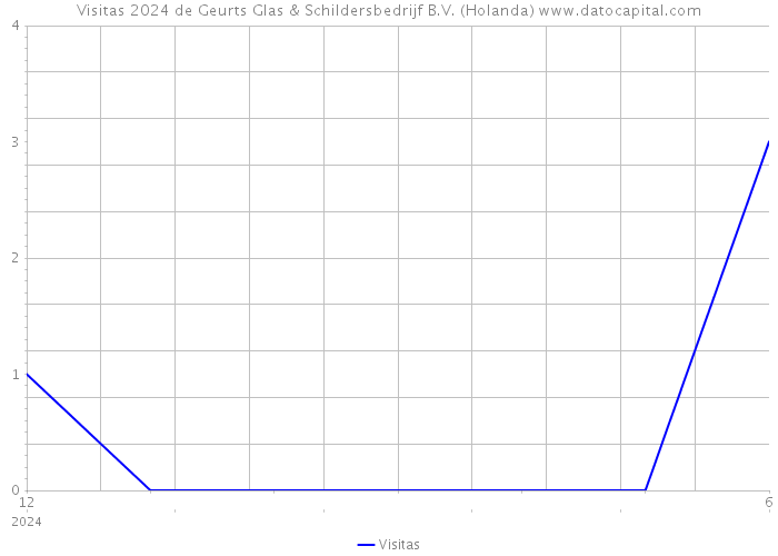 Visitas 2024 de Geurts Glas & Schildersbedrijf B.V. (Holanda) 