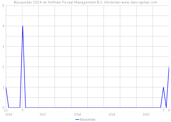 Búsquedas 2024 de Hofman Fiscaal Management B.V. (Holanda) 