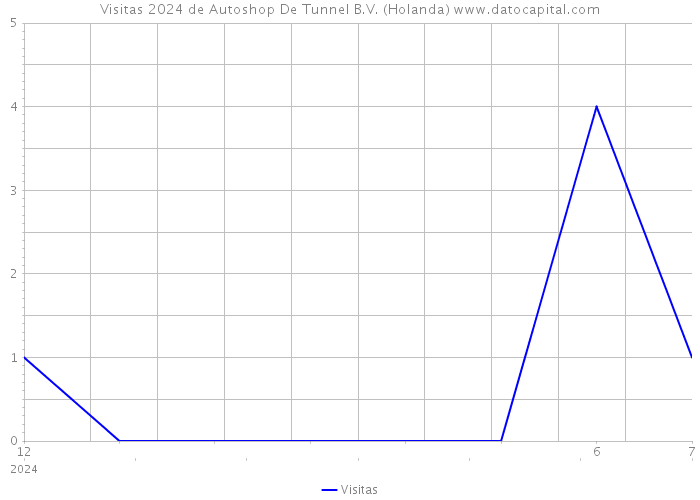 Visitas 2024 de Autoshop De Tunnel B.V. (Holanda) 