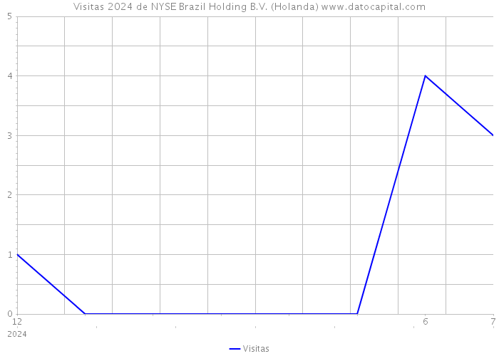Visitas 2024 de NYSE Brazil Holding B.V. (Holanda) 