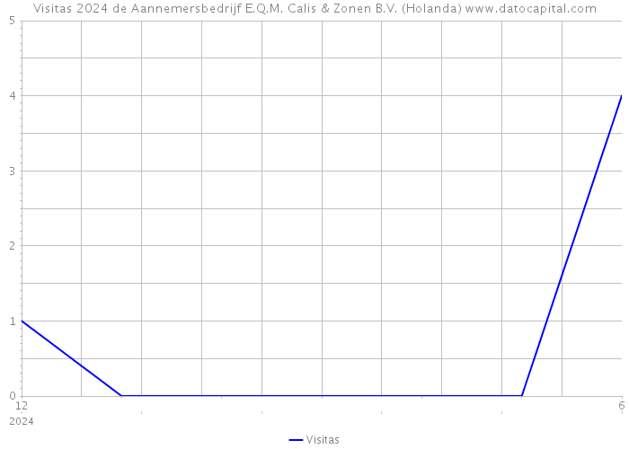 Visitas 2024 de Aannemersbedrijf E.Q.M. Calis & Zonen B.V. (Holanda) 