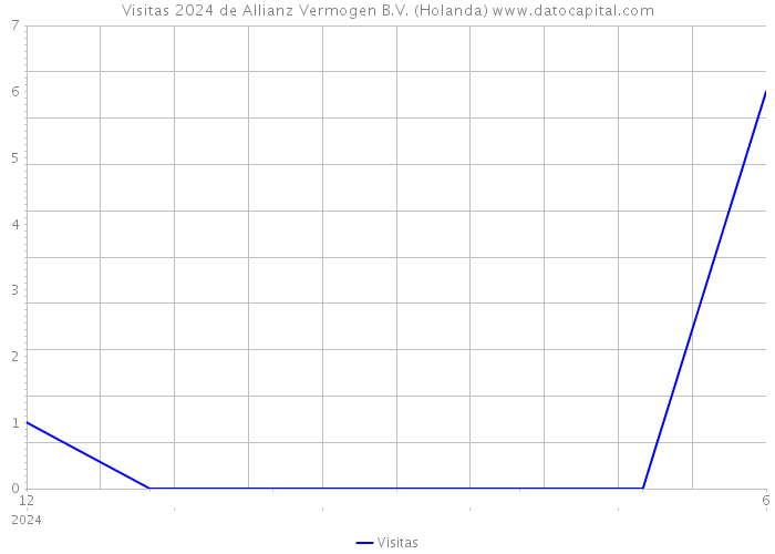 Visitas 2024 de Allianz Vermogen B.V. (Holanda) 