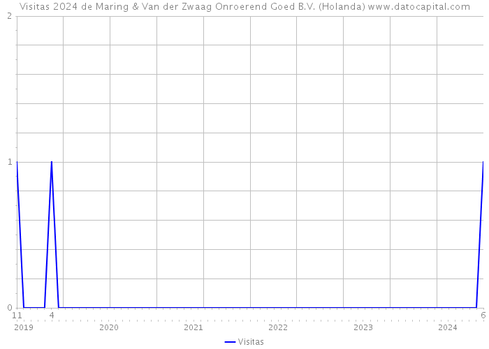 Visitas 2024 de Maring & Van der Zwaag Onroerend Goed B.V. (Holanda) 