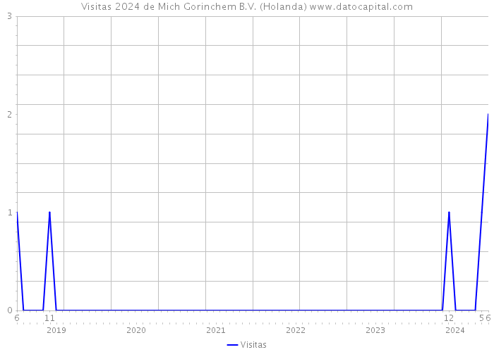 Visitas 2024 de Mich Gorinchem B.V. (Holanda) 