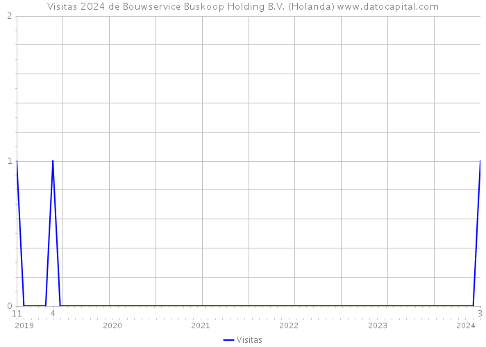Visitas 2024 de Bouwservice Buskoop Holding B.V. (Holanda) 