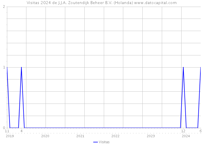 Visitas 2024 de J.J.A. Zoutendijk Beheer B.V. (Holanda) 