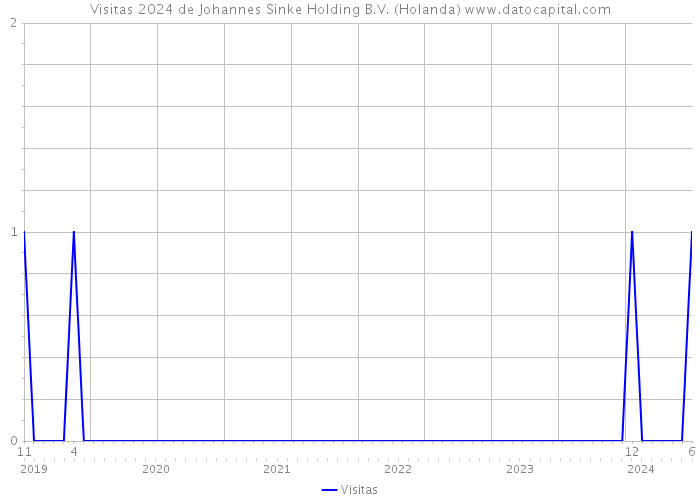 Visitas 2024 de Johannes Sinke Holding B.V. (Holanda) 