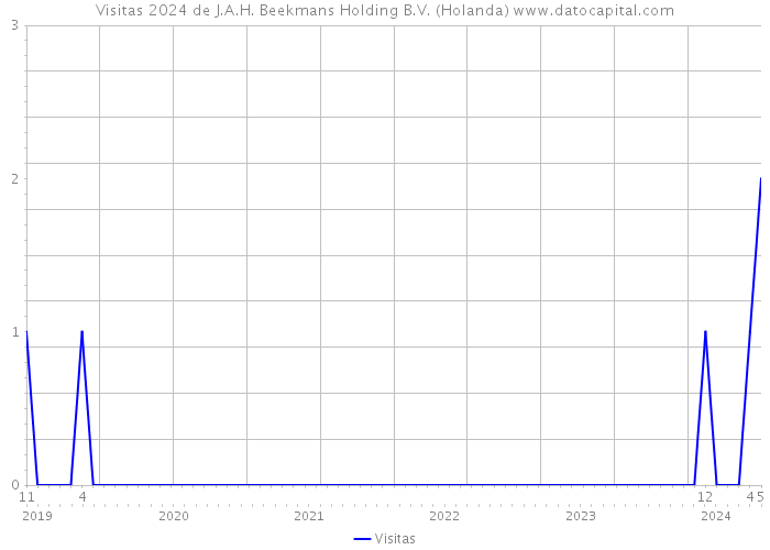 Visitas 2024 de J.A.H. Beekmans Holding B.V. (Holanda) 