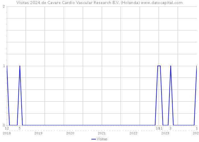 Visitas 2024 de Cavare Cardio Vascular Research B.V. (Holanda) 