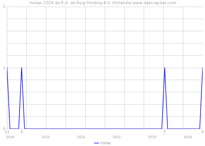 Visitas 2024 de R.A. de Ruig Holding B.V. (Holanda) 