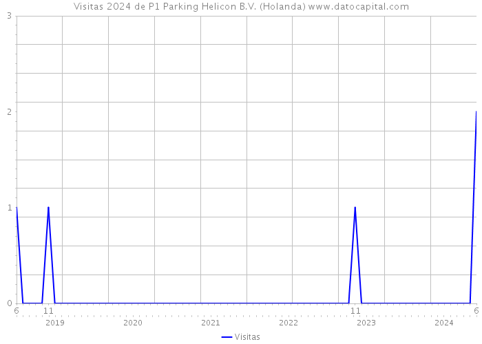 Visitas 2024 de P1 Parking Helicon B.V. (Holanda) 