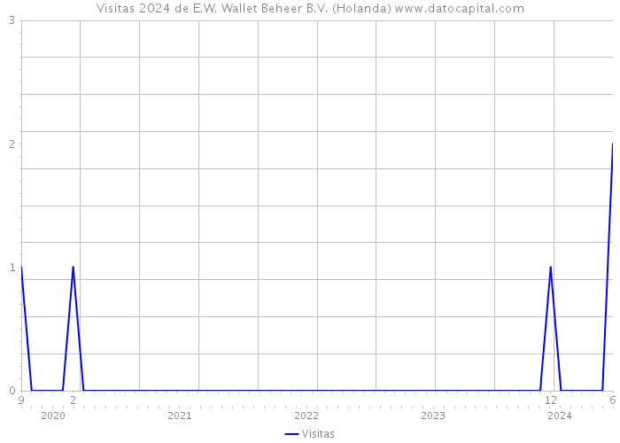 Visitas 2024 de E.W. Wallet Beheer B.V. (Holanda) 