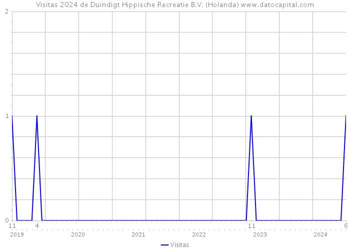 Visitas 2024 de Duindigt Hippische Recreatie B.V. (Holanda) 