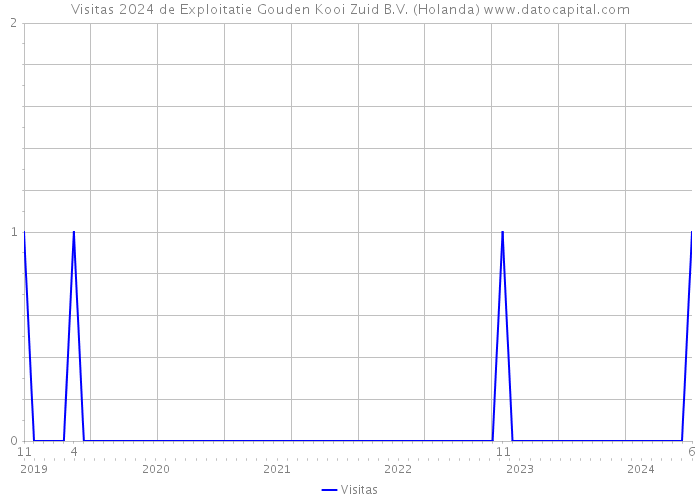 Visitas 2024 de Exploitatie Gouden Kooi Zuid B.V. (Holanda) 