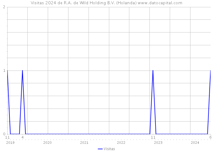 Visitas 2024 de R.A. de Wild Holding B.V. (Holanda) 