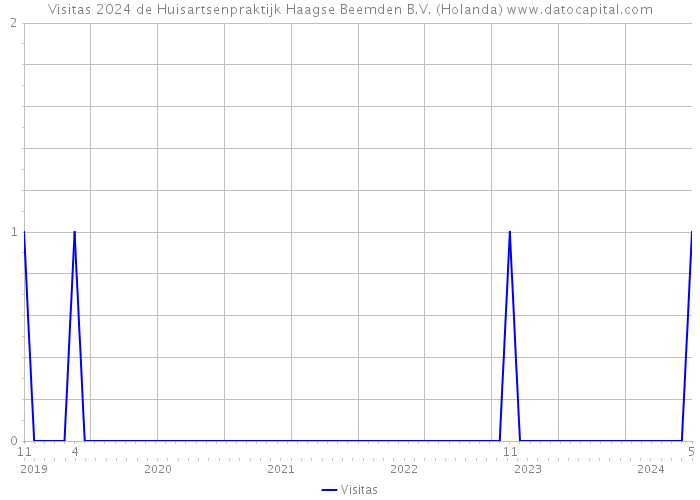 Visitas 2024 de Huisartsenpraktijk Haagse Beemden B.V. (Holanda) 