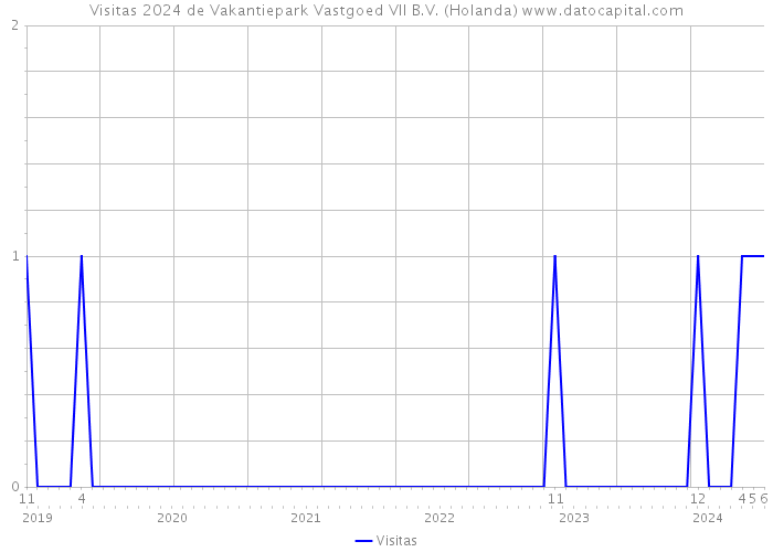 Visitas 2024 de Vakantiepark Vastgoed VII B.V. (Holanda) 