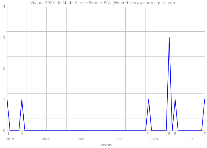 Visitas 2024 de M. de Keizer Beheer B.V. (Holanda) 